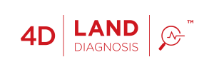 4D Land